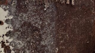 約１３年お疲れ様でした。